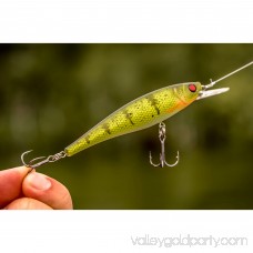 Berkley Cutter 90+ Hard Bait 3 1/2 Length, 4'-6' Swimming Depth, 2 Hooks, Sexier Shad, Per 1 555067662